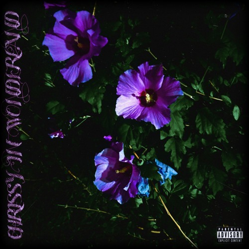 HOW I FEEL (PROD.DRUGSLUTT)