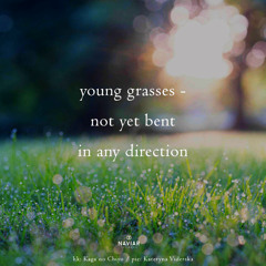 not yet bent in any direction [naviarhaiku608]