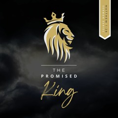 The Promised King - The Gospel of Matthew Sermon Series