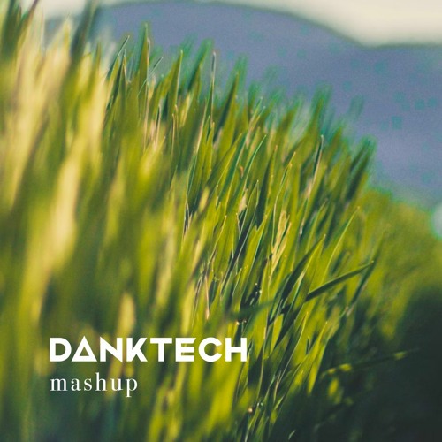 Ask Flex + Shanti (Peace Out)- DANKTECH Mashup