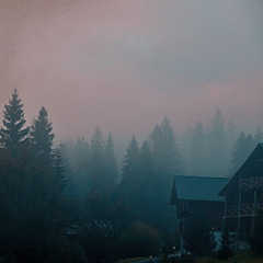 Somber
