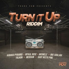 Turn It Up Riddim Mix 2020 Mykal Rose,Kabaka Pyramid,Irie Souljah & More (Young Pow Prod)
