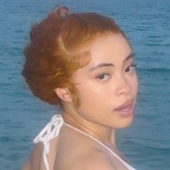 Ice Spice - PRINCESSE DIANA (Coulanj Edit)