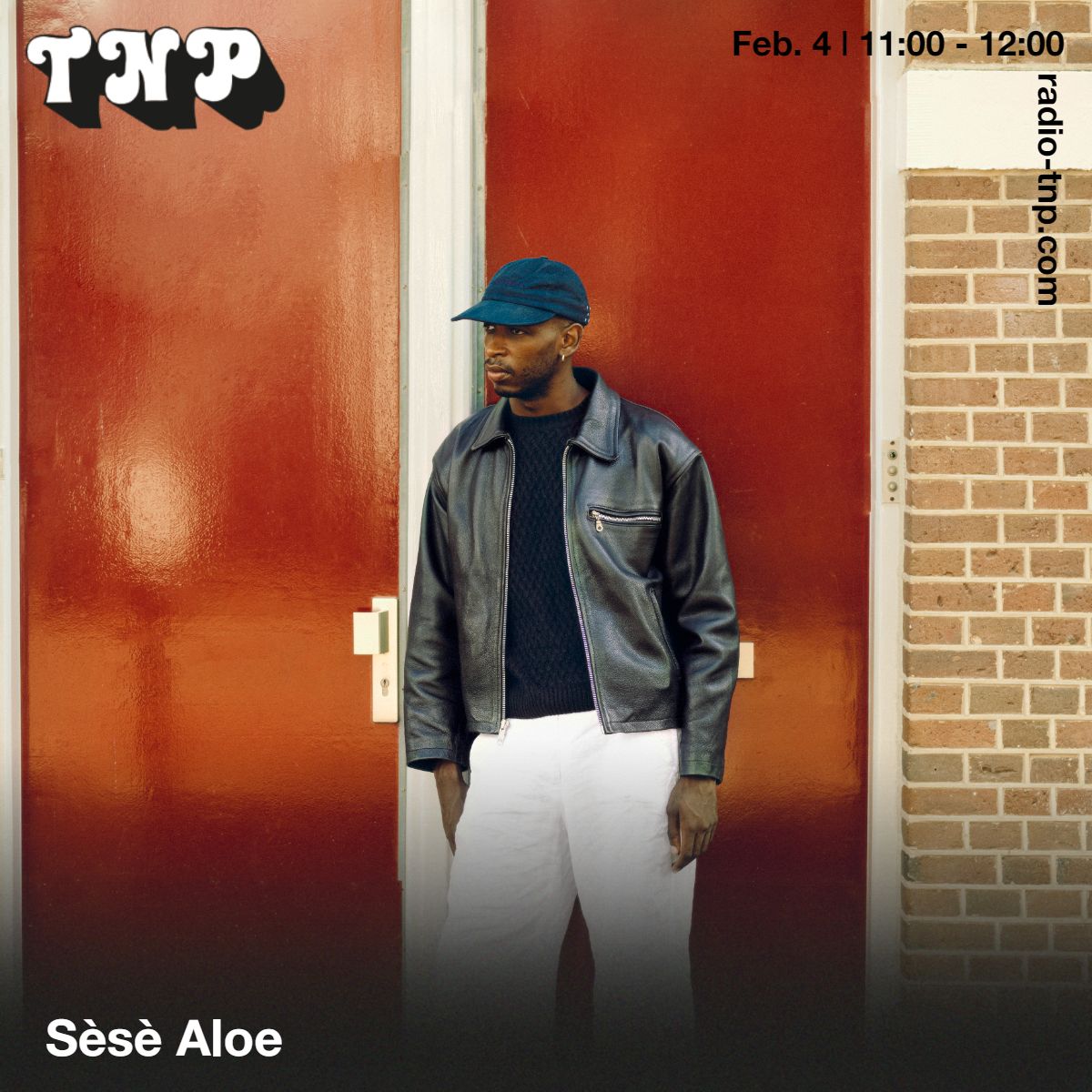 Sèsè Aloe