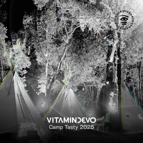 Vitamindevo Live @ Camp Tasty 2025