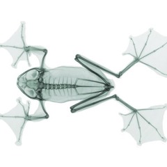 Groove Is In The Heart