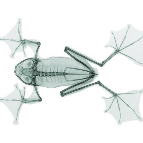 Groove Is In The Heart