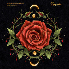 Premiere: Soul Engineers - Andi [Songuara]