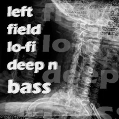 Left Field lo-fi N BASS