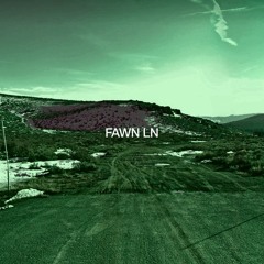 FAWN LN