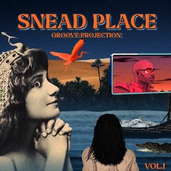 Groove Projection Vol.1 Promo Mix