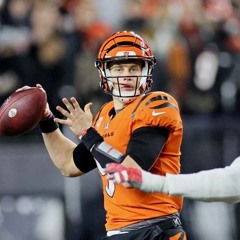 S08E14: Why the Bengals don't play wildcat (Week 13 Review and Week 14 Preview)