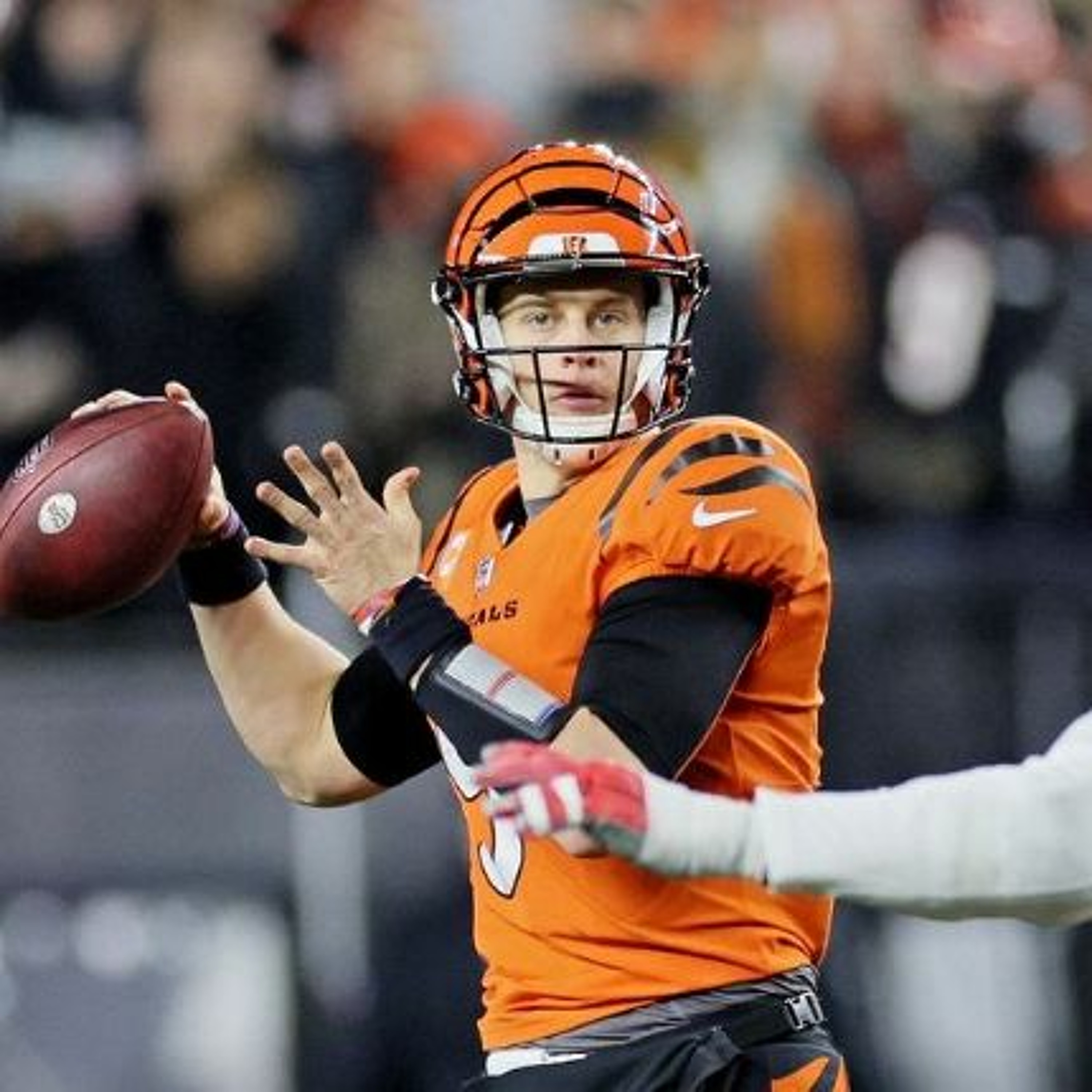 S08E14: Why the Bengals don't play wildcat (Week 13 Review/Week 14 Preview) episode artwork