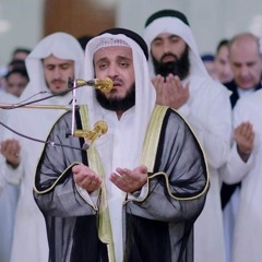سوره فصلت - مشارى بن راشد العفاسى  surah-Fussilat_(Mishary_Alafasi)