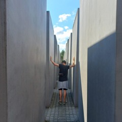 Face in the Snow - Opeth (acoustic/vocals)