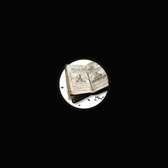 Enzyme X - Dissonant Poetry (Second Verse By Ophidian & Ruffneck)