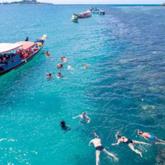 Review Special Price Koh Tan And Madsum Snorkeling Trip By Speedboat From Samui
