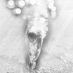 Diving Into The Past