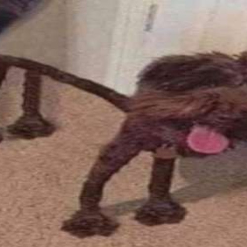 where have you been all my life_2