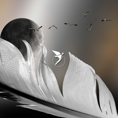 Far Distance & Atóm (IE) - Keeps Me Alive [Astral]