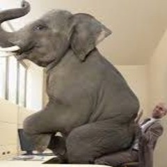 THE ELEPHANT IN THE ROOM