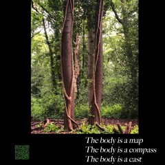 The body is a map