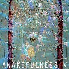 AWAKEFULNESS 5