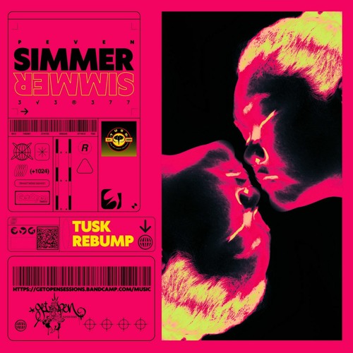 Simmer Simmer (TUSK Bumpstrumental) [FREE DOWNLOAD]