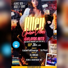 ALLEY UNDER VIBES LIVE AUDIO (DJ BREAD ❌  KASON)FT LAUDERDALE FL