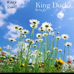 King Duck - Spring Joy [Binky Sounds Release]