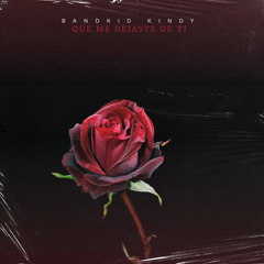 Que Me Dejaste De Ti