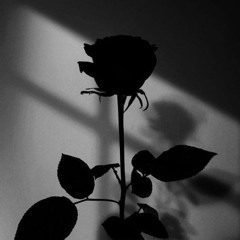 SUMMER_I won't come back_VIBE_BEAT_INSTRUMENTAL_PROD_Dery_One_Bests