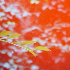 Podcasts (selection)