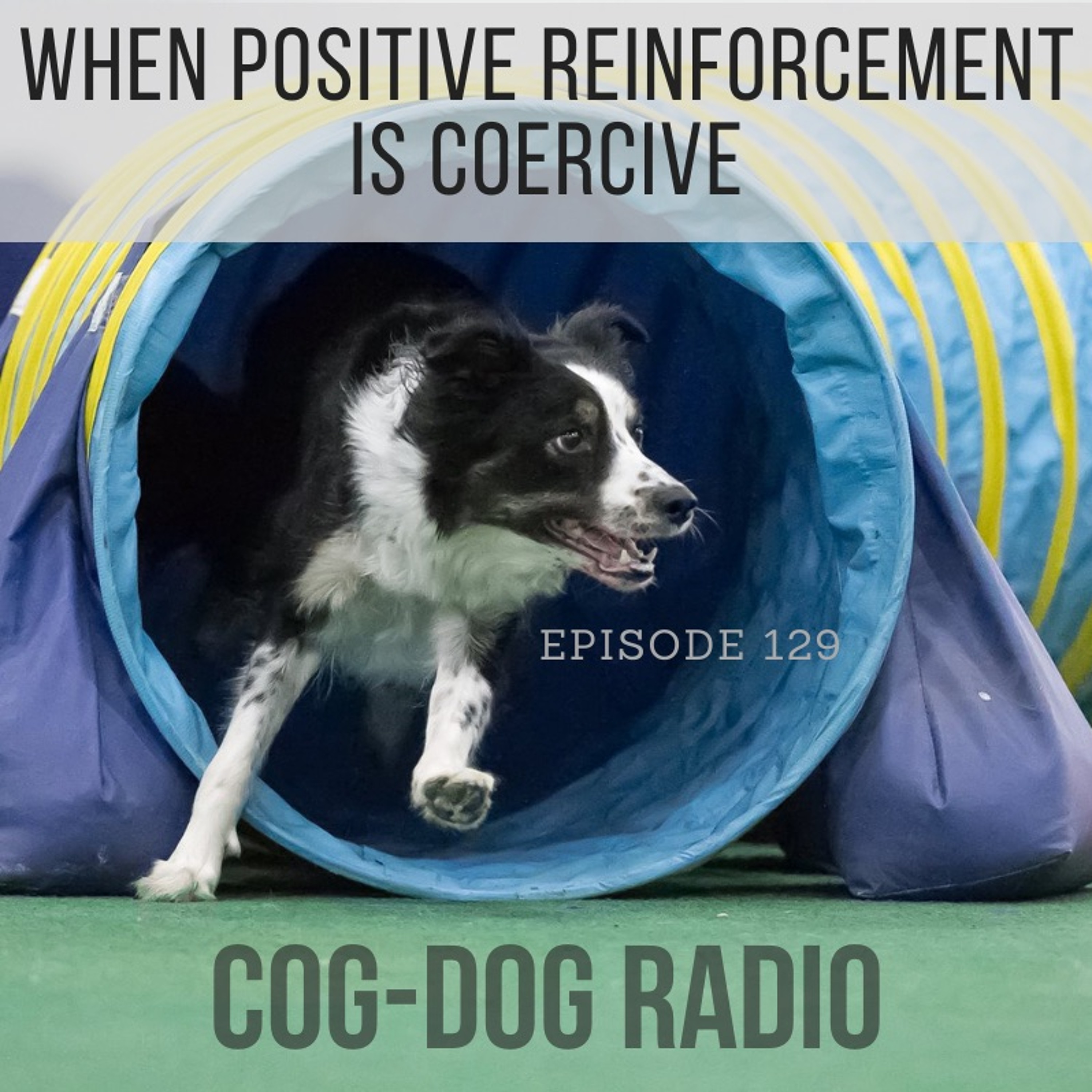 When Positive Reinforcement is Coercive