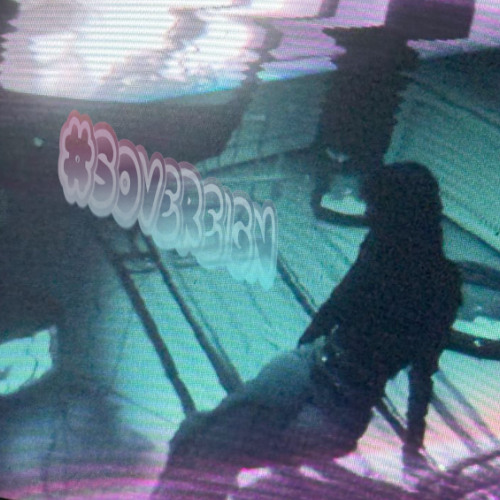 b1ooms & zai plead to me, 🤭🙏 prod me lavi