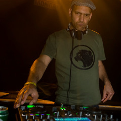 Majestic Jungle is Massive #18