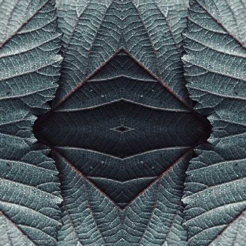 Saturna - Of the Spaces in Between