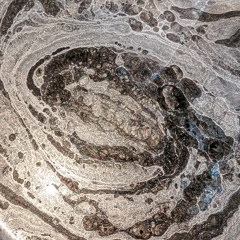 G͋ͫr͓̙̕͡o̼̼̺ͣ͘o̢͖̊̊ͪ͋v̫̦̄̓ͪ̋ͅi͕̖͌̅ͪ͐͝ş̸͉͚̌̀̐s͓̫͍͐̆͝ͅĭ̴̢̬ͥͪͭm͙̣̍ͥͬ͟o̿ͩ#1