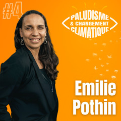 #4. Lutter contre le paludisme, prioriser les meilleures réponses (avec Emilie Pothin)