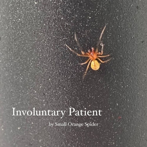 Involuntary Patient