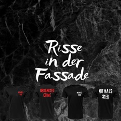 Risse in der Fassade (Pastiche/Remix/Mashup)