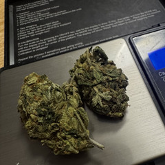 Bad Art - Alusetu Laim