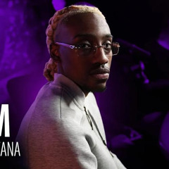 TVLM - TONY MONTANA [SLOWED]