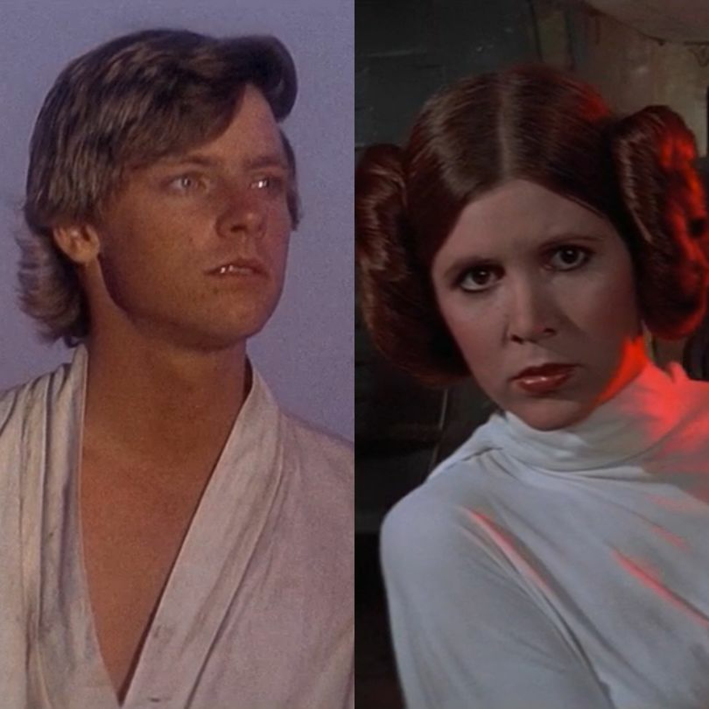 A Star to Steer Her By