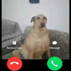 MONTAGEM TEM QUE TIRAR O CHAPÉU