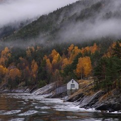 Tailor Tailor Weave Thy Spell