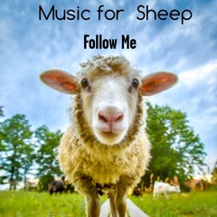Music for Sheep.miles jackson  2020-07-20_21