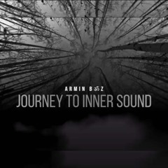Journey To Inner Sound