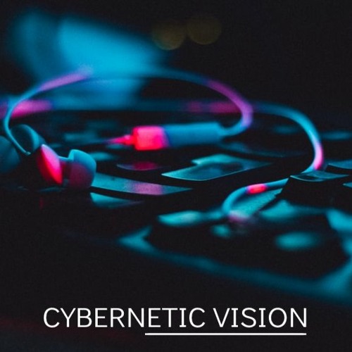 Cybernetic Vision