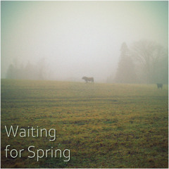 Waiting for Spring